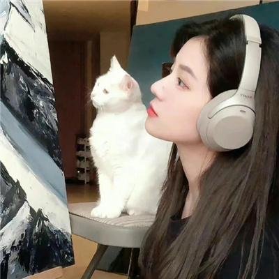半镜