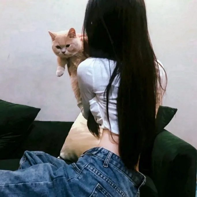 好久不见啊喵
