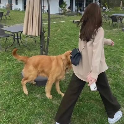 江湖学院第一季